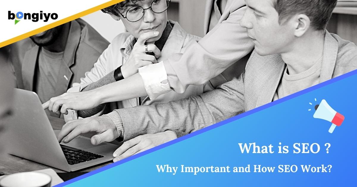 What is SEO, Why important and how SEO work?